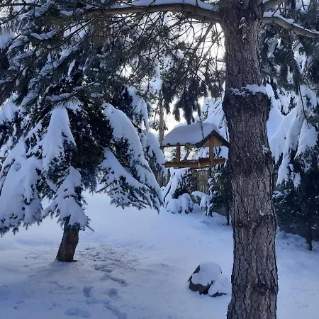 Iryna ірина Tukhlya