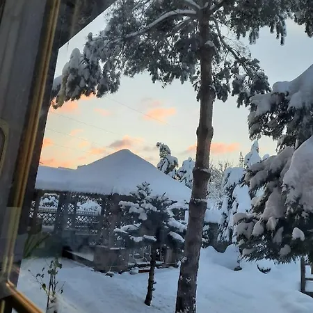 Iryna ірина Tukhlya