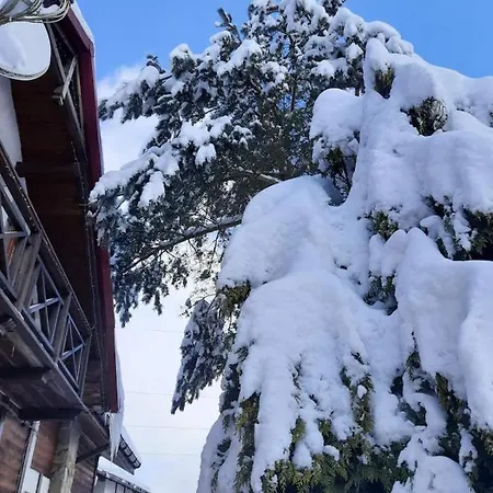 Country house Iryna ірина *