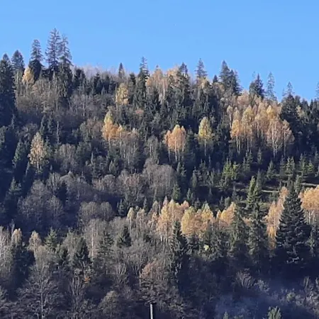 Country house Iryna ірина